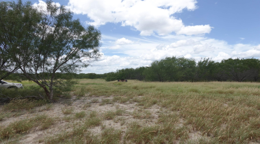 2247 FM 1025, Crystal City, Texas 78839, ,Land,For Sale,2247 FM 1025,20253377