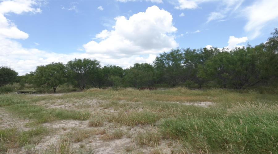 2247 FM 1025, Crystal City, Texas 78839, ,Land,For Sale,2247 FM 1025,20253377