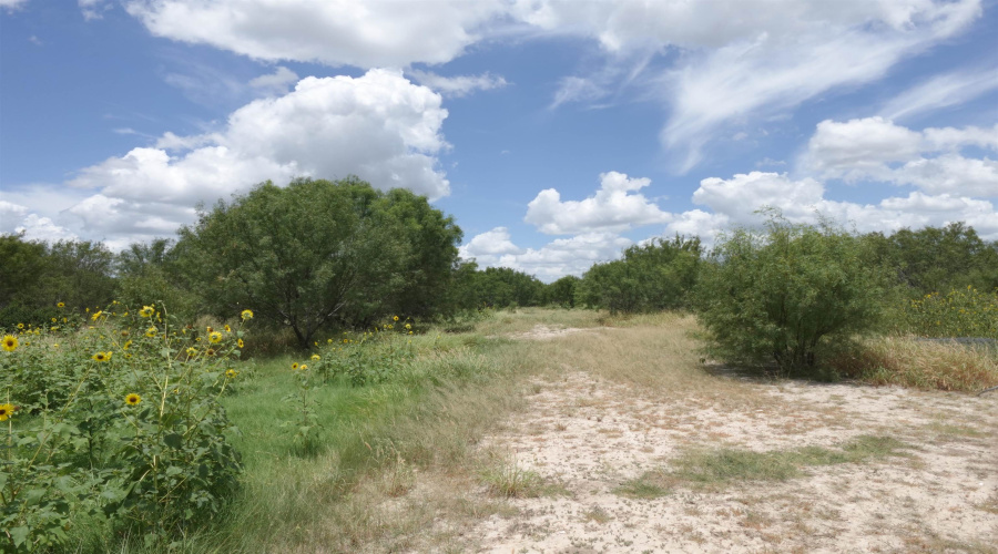 2247 FM 1025, Crystal City, Texas 78839, ,Land,For Sale,2247 FM 1025,20253377
