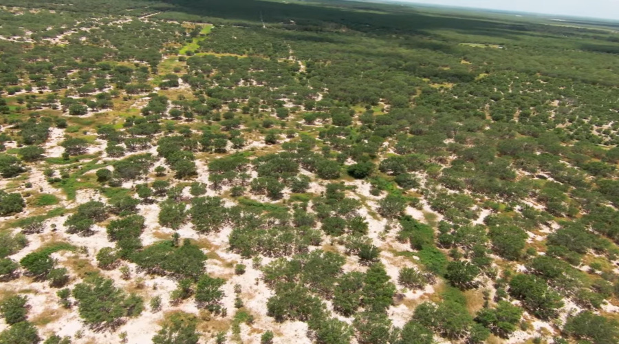 2247 FM 1025, Crystal City, Texas 78839, ,Land,For Sale,2247 FM 1025,20253377