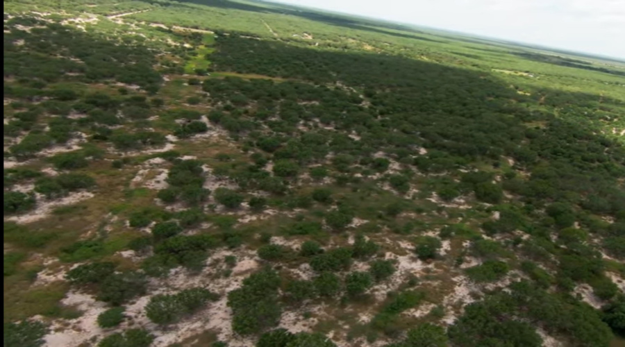 2247 FM 1025, Crystal City, Texas 78839, ,Land,For Sale,2247 FM 1025,20253377