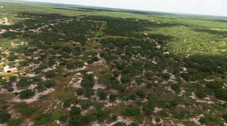 2247 FM 1025, Crystal City, Texas 78839, ,Land,For Sale,2247 FM 1025,20253377