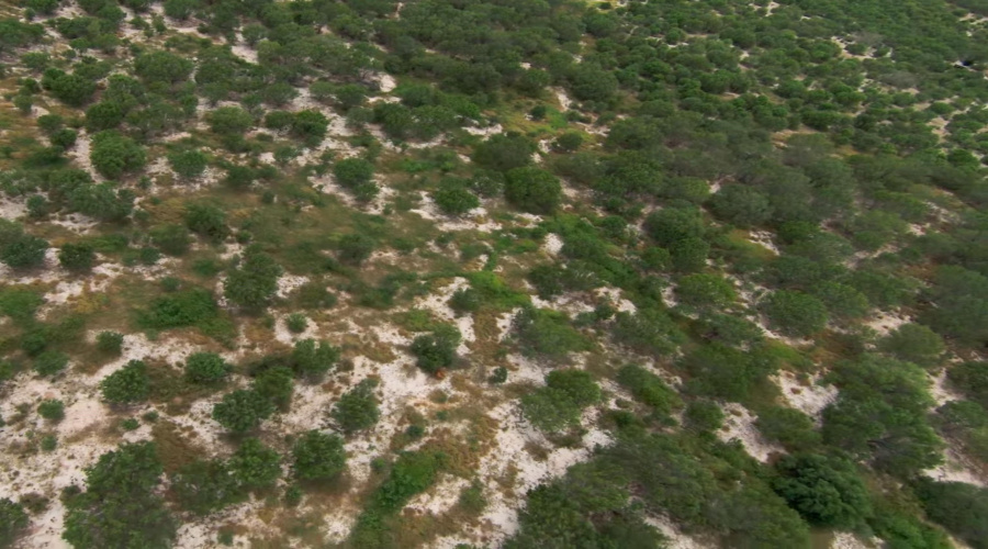 2247 FM 1025, Crystal City, Texas 78839, ,Land,For Sale,2247 FM 1025,20253377