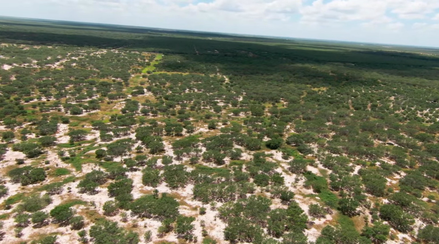 2247 FM 1025, Crystal City, Texas 78839, ,Land,For Sale,2247 FM 1025,20253377