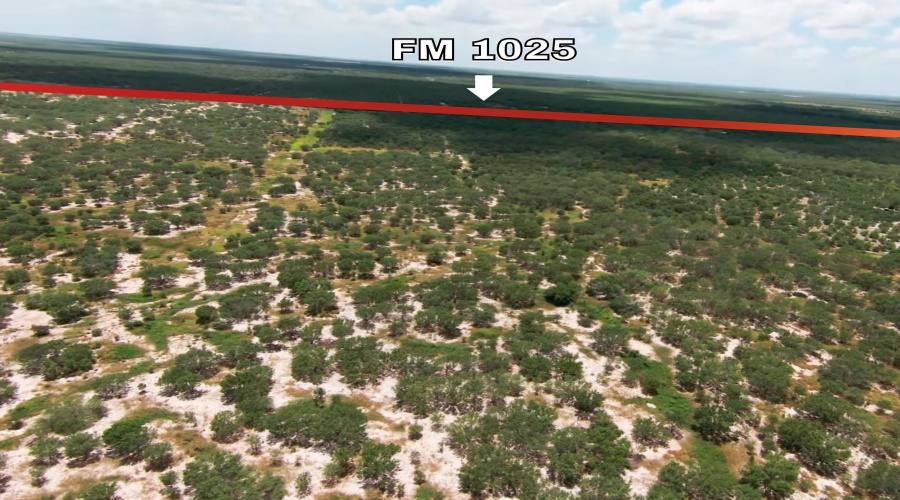2247 FM 1025, Crystal City, Texas 78839, ,Land,For Sale,2247 FM 1025,20253377