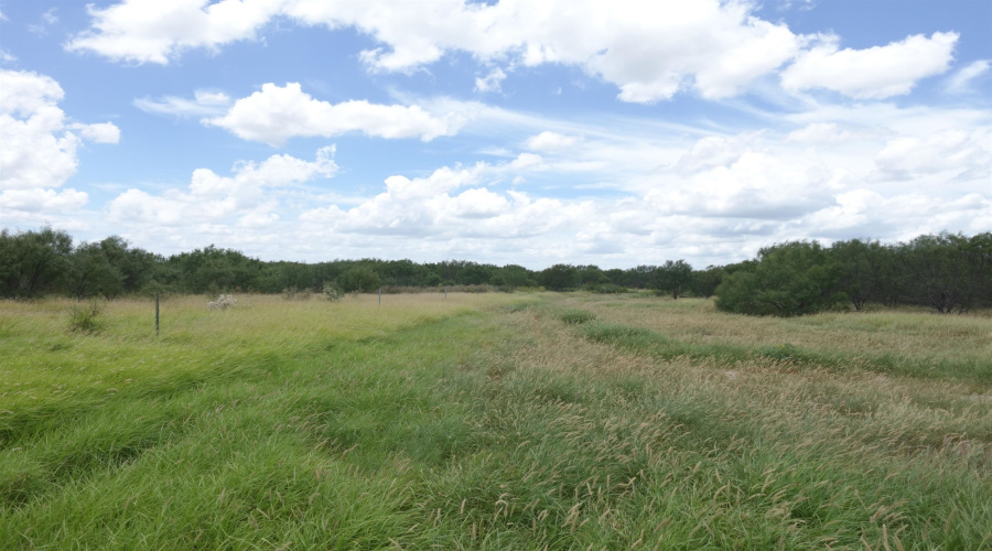 2247 FM 1025, Crystal City, Texas 78839, ,Land,For Sale,2247 FM 1025,20253377