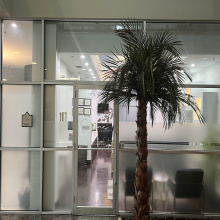 6999 McPherson Rd, LAREDO, Texas 78041, 1 Room Rooms,1 BathroomBathrooms,Commercial retail/office,For Rent,6999 McPherson Rd,20253427