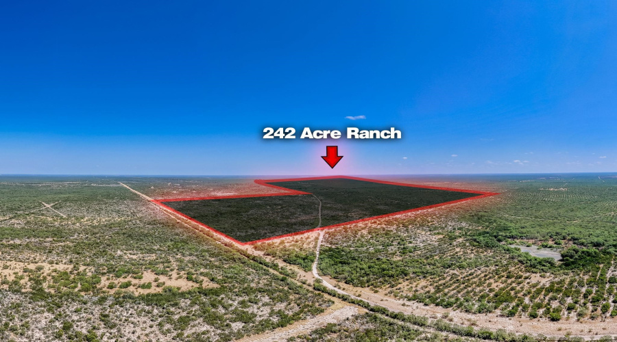 242.10 Acres FM 2687, Zapata, Texas 78076, ,Land,For Sale,242.10 Acres FM 2687,20253500