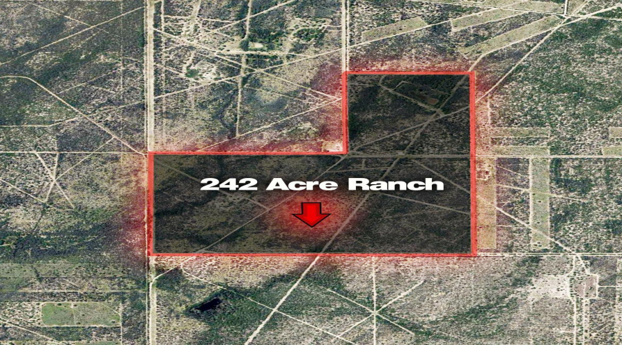 242.10 Acres FM 2687, Zapata, Texas 78076, ,Land,For Sale,242.10 Acres FM 2687,20253500