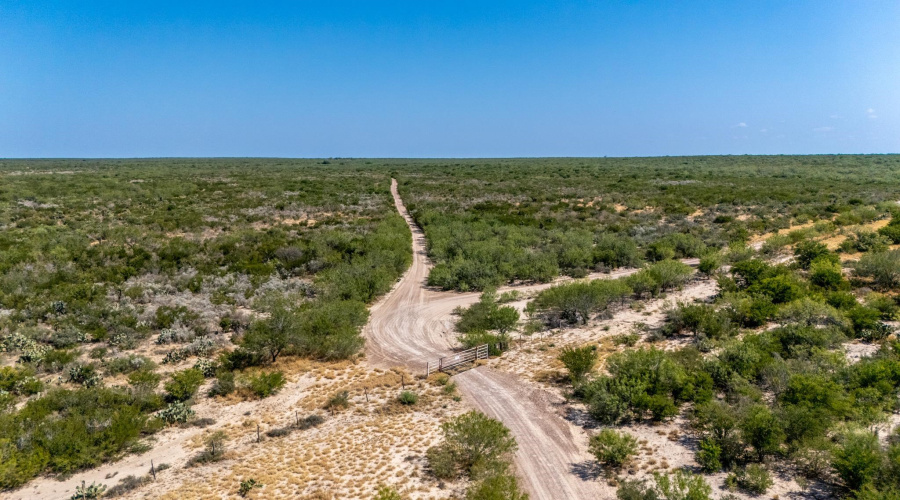 242.10 Acres FM 2687, Zapata, Texas 78076, ,Land,For Sale,242.10 Acres FM 2687,20253500