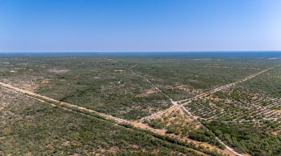 242.10 Acres FM 2687, Zapata, Texas 78076, ,Land,For Sale,242.10 Acres FM 2687,20253500