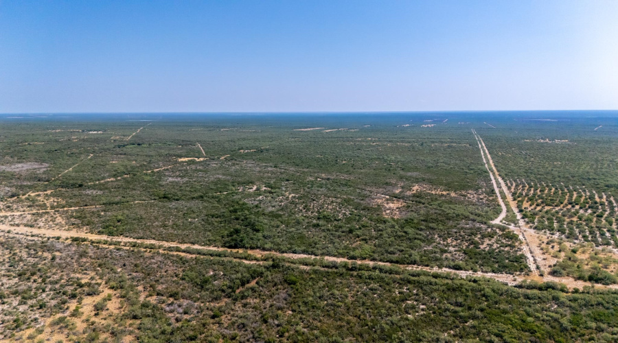 242.10 Acres FM 2687, Zapata, Texas 78076, ,Land,For Sale,242.10 Acres FM 2687,20253500