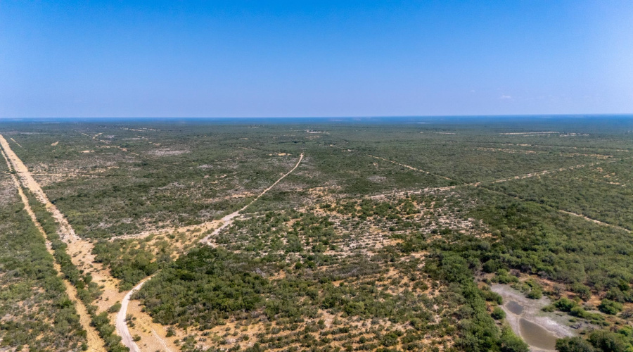 242.10 Acres FM 2687, Zapata, Texas 78076, ,Land,For Sale,242.10 Acres FM 2687,20253500