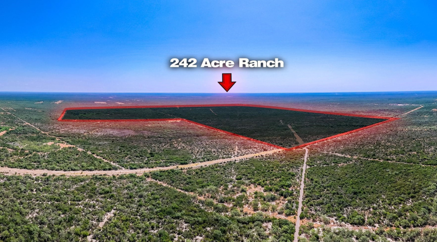 242.10 Acres FM 2687, Zapata, Texas 78076, ,Land,For Sale,242.10 Acres FM 2687,20253500