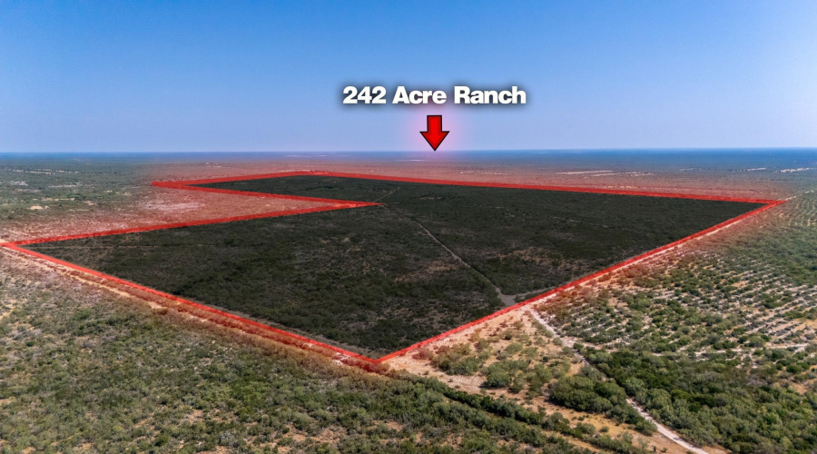 242.10 Acres FM 2687, Zapata, Texas 78076, ,Land,For Sale,242.10 Acres FM 2687,20253500