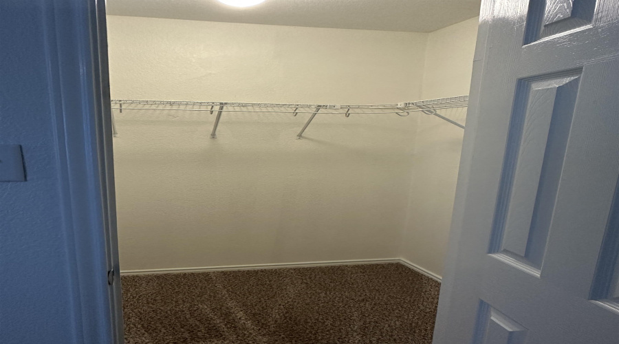 Main suite