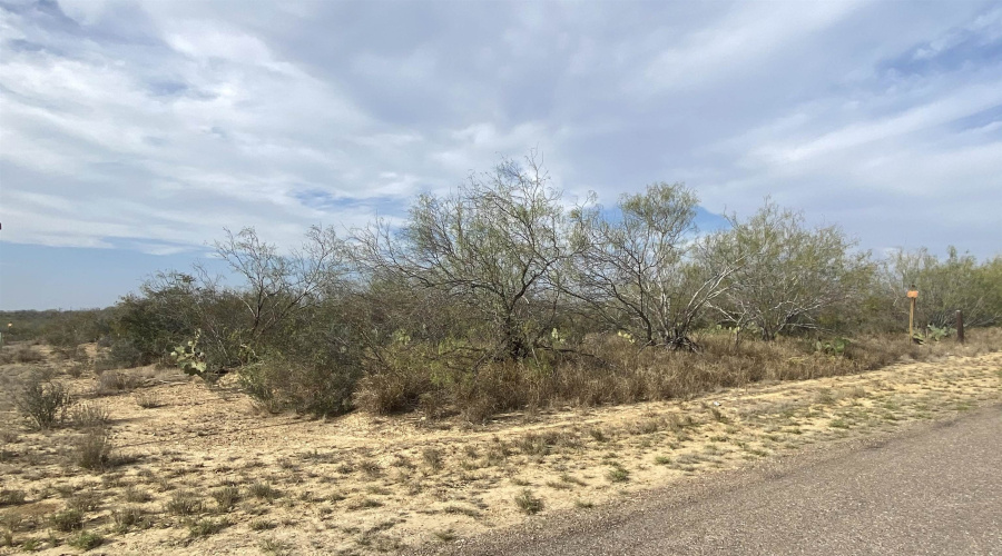 132 Dilley Blvd., Zapata, Texas 78076, ,Land,For Sale,132 Dilley Blvd.,20253671