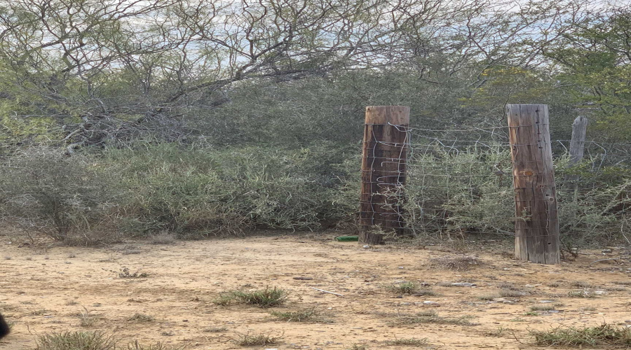 132 Dilley Blvd., Zapata, Texas 78076, ,Land,For Sale,132 Dilley Blvd.,20253671