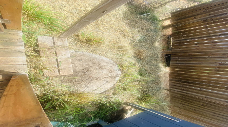 100 JAIME J ZAPATA ST, Falcon, Texas 78564, 1 Room Rooms,3 BathroomsBathrooms,Commercial retail/office,For Sale,100 JAIME J ZAPATA ST,20253725