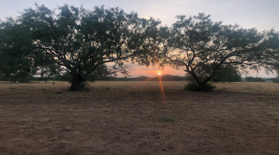 1766 W TX State Hwy 44, Laredo, Texas 78045, ,Land,For Sale,1766 W TX State Hwy 44,20253757