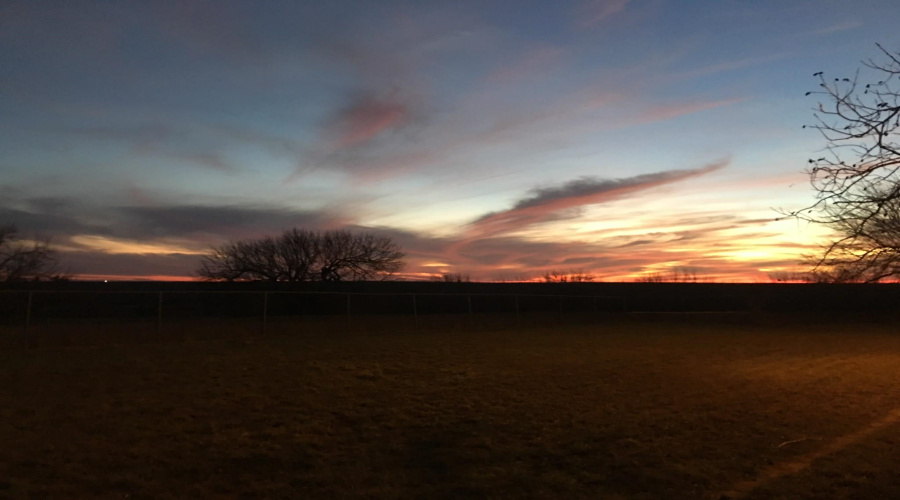 1766 W TX State Hwy 44, Laredo, Texas 78045, ,Land,For Sale,1766 W TX State Hwy 44,20253757