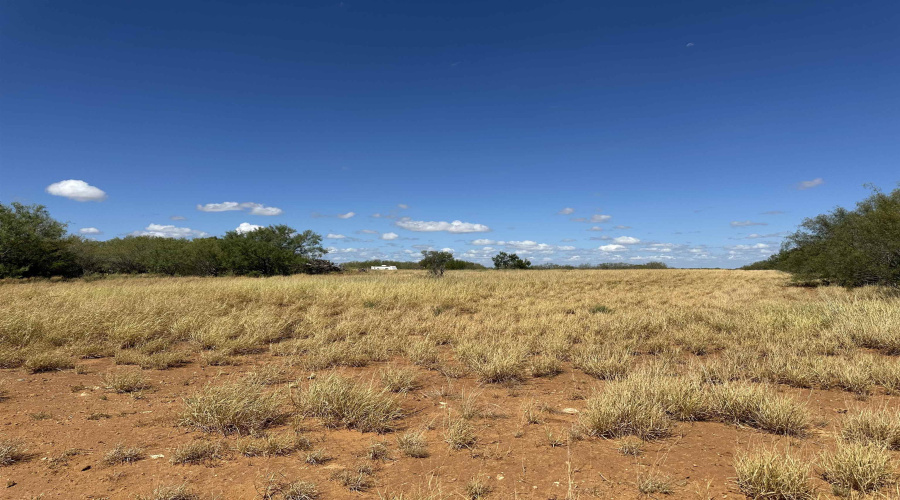 1766 W TX State Hwy 44, Laredo, Texas 78045, ,Land,For Sale,1766 W TX State Hwy 44,20253757