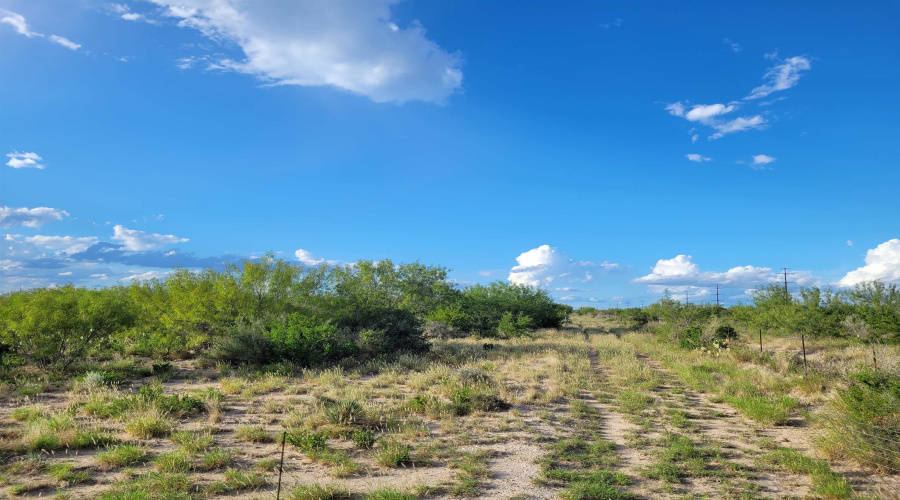 1000 Zapata Hwy, Laredo, Texas 78046, ,Land,For Sale,1000 Zapata Hwy,20253841