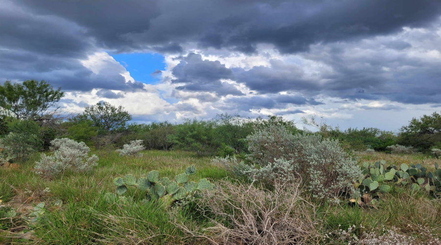 1000 Zapata Hwy, Laredo, Texas 78046, ,Land,For Sale,1000 Zapata Hwy,20253841