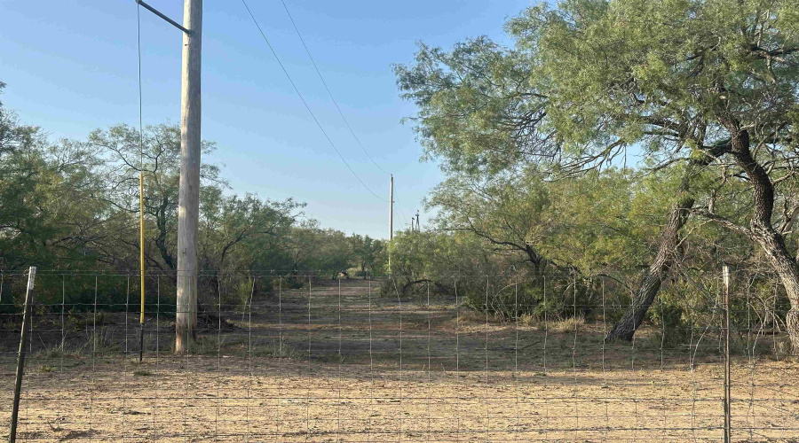 992 Jordan Rd., Encinal, Texas 78019, ,Land,For Sale,992 Jordan Rd.,20254092