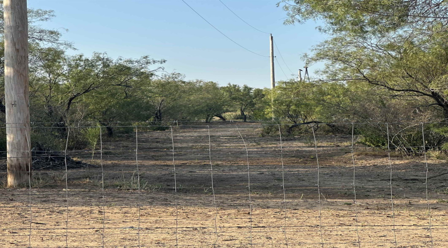 992 Jordan Rd., Encinal, Texas 78019, ,Land,For Sale,992 Jordan Rd.,20254092