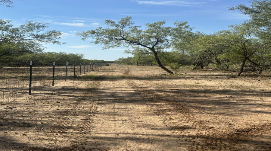 992 Jordan Rd., Encinal, Texas 78019, ,Land,For Sale,992 Jordan Rd.,20254092