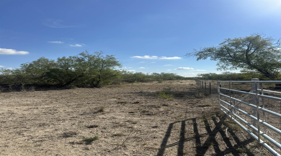 992 Jordan Rd., Encinal, Texas 78019, ,Land,For Sale,992 Jordan Rd.,20254092