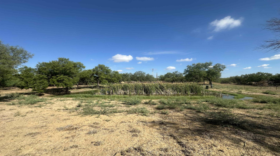 992 Jordan Rd., Encinal, Texas 78019, ,Land,For Sale,992 Jordan Rd.,20254092