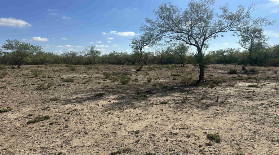 992 Jordan Rd., Encinal, Texas 78019, ,Land,For Sale,992 Jordan Rd.,20254092