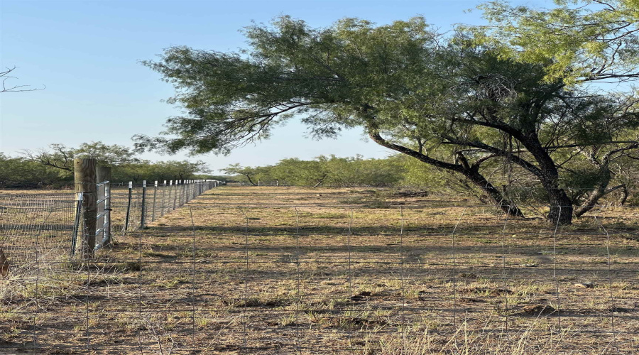 992 Jordan Rd., Encinal, Texas 78019, ,Land,For Sale,992 Jordan Rd.,20254092