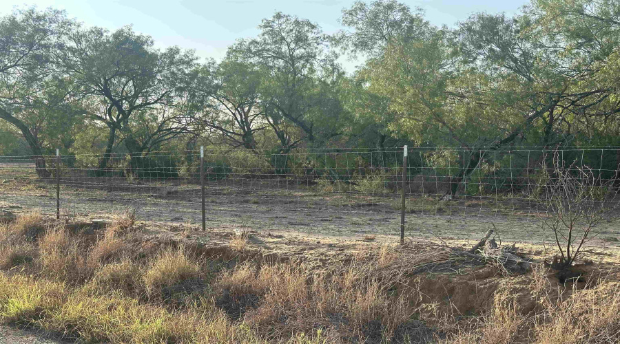 992 Jordan Rd., Encinal, Texas 78019, ,Land,For Sale,992 Jordan Rd.,20254092