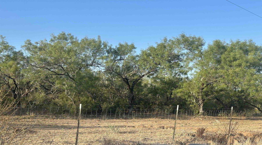 992 Jordan Rd., Encinal, Texas 78019, ,Land,For Sale,992 Jordan Rd.,20254092