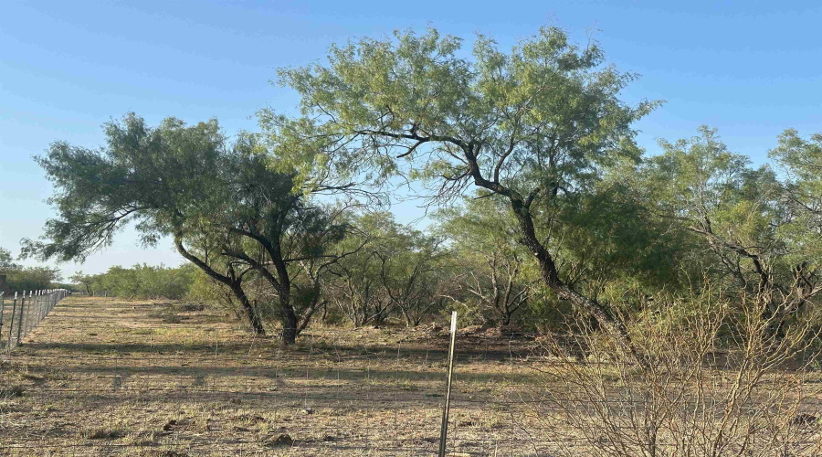 992 Jordan Rd., Encinal, Texas 78019, ,Land,For Sale,992 Jordan Rd.,20254092
