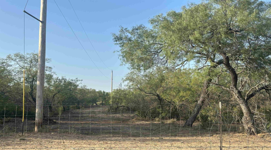 992 Jordan Rd., Encinal, Texas 78019, ,Land,For Sale,992 Jordan Rd.,20254092