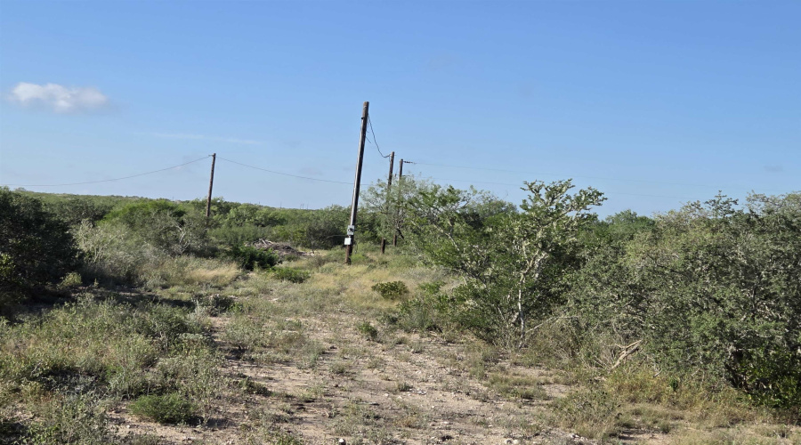 000 1st. St., Freer, Texas 78357, ,Land,For Sale,000 1st. St.,20254096