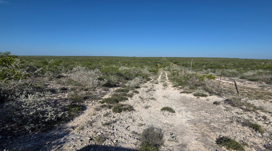 000 1st. St., Freer, Texas 78357, ,Land,For Sale,000 1st. St.,20254096