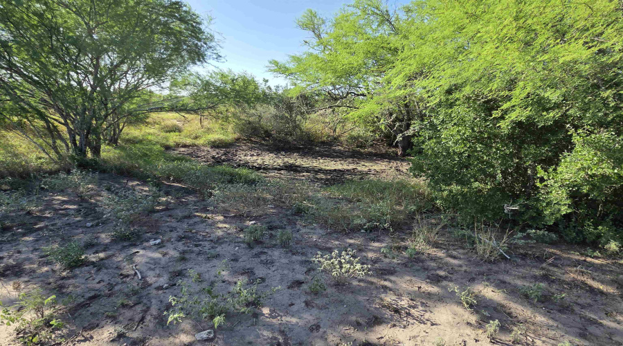 000 1st. St., Freer, Texas 78357, ,Land,For Sale,000 1st. St.,20254096