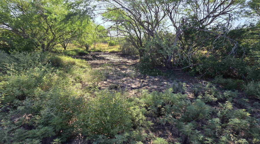 000 1st. St., Freer, Texas 78357, ,Land,For Sale,000 1st. St.,20254096