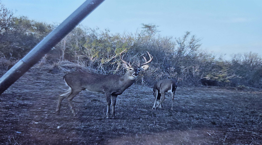 000 1st. St., Freer, Texas 78357, ,Land,For Sale,000 1st. St.,20254096