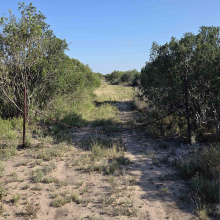 000 1st. St., Freer, Texas 78357, ,Land,For Sale,000 1st. St.,20254096