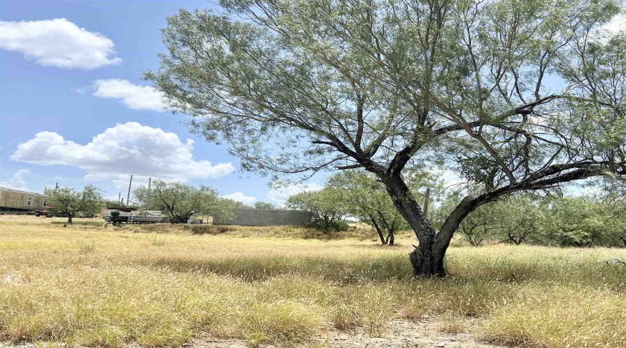 408 Condor Ave., Zapata, Texas 78076, ,Land,For Sale,408 Condor Ave.,20254102