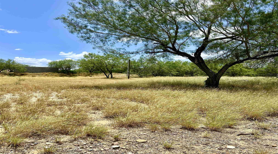 408 Condor Ave., Zapata, Texas 78076, ,Land,For Sale,408 Condor Ave.,20254102