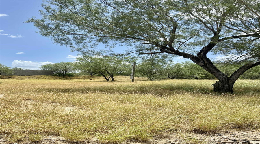 408 Condor Ave., Zapata, Texas 78076, ,Land,For Sale,408 Condor Ave.,20254102