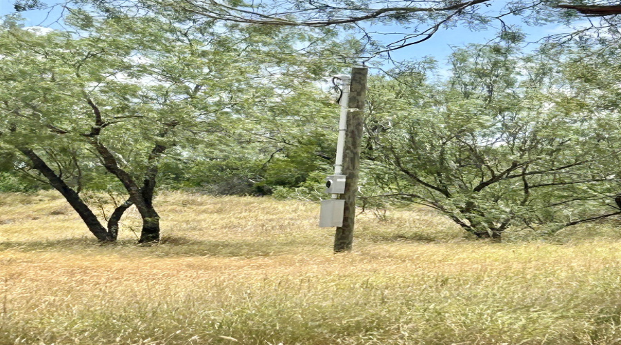 408 Condor Ave., Zapata, Texas 78076, ,Land,For Sale,408 Condor Ave.,20254102