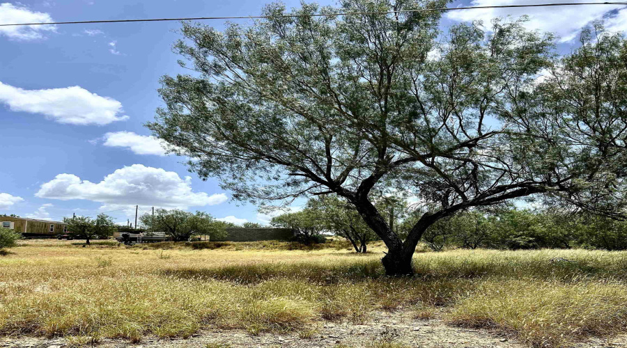 408 Condor Ave., Zapata, Texas 78076, ,Land,For Sale,408 Condor Ave.,20254102